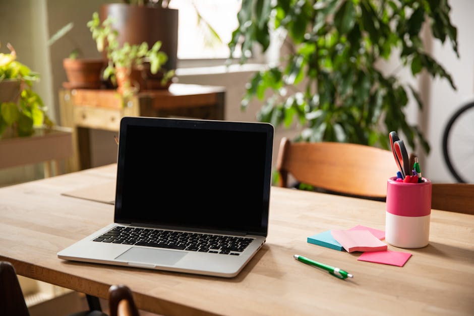 Desk with ergonomic setup and plants